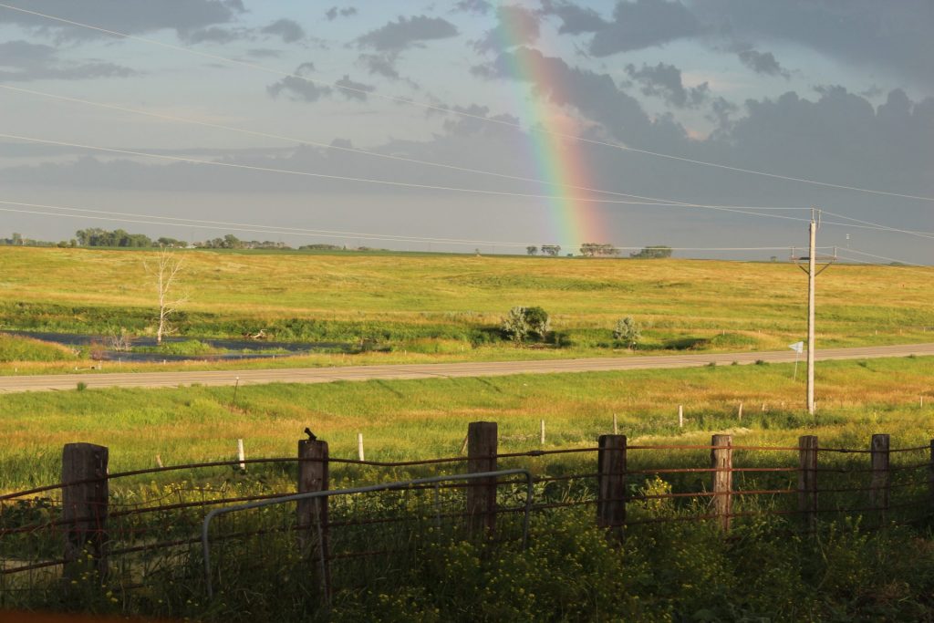 field with rainbow