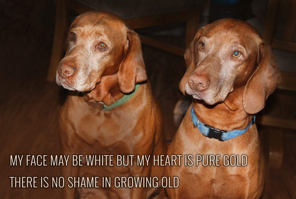 My face may be white but my heart is pure gold there is no shame in growing old