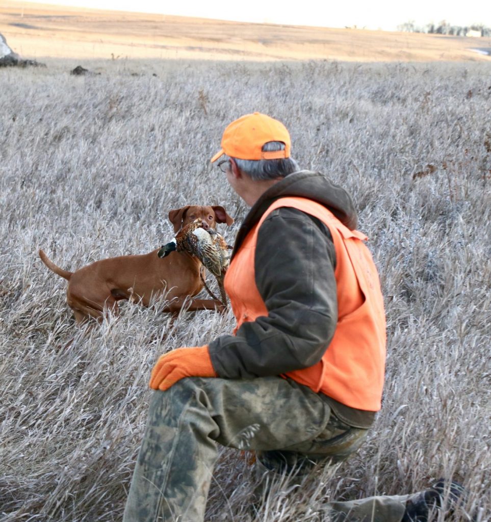 hunters and hunting dogs